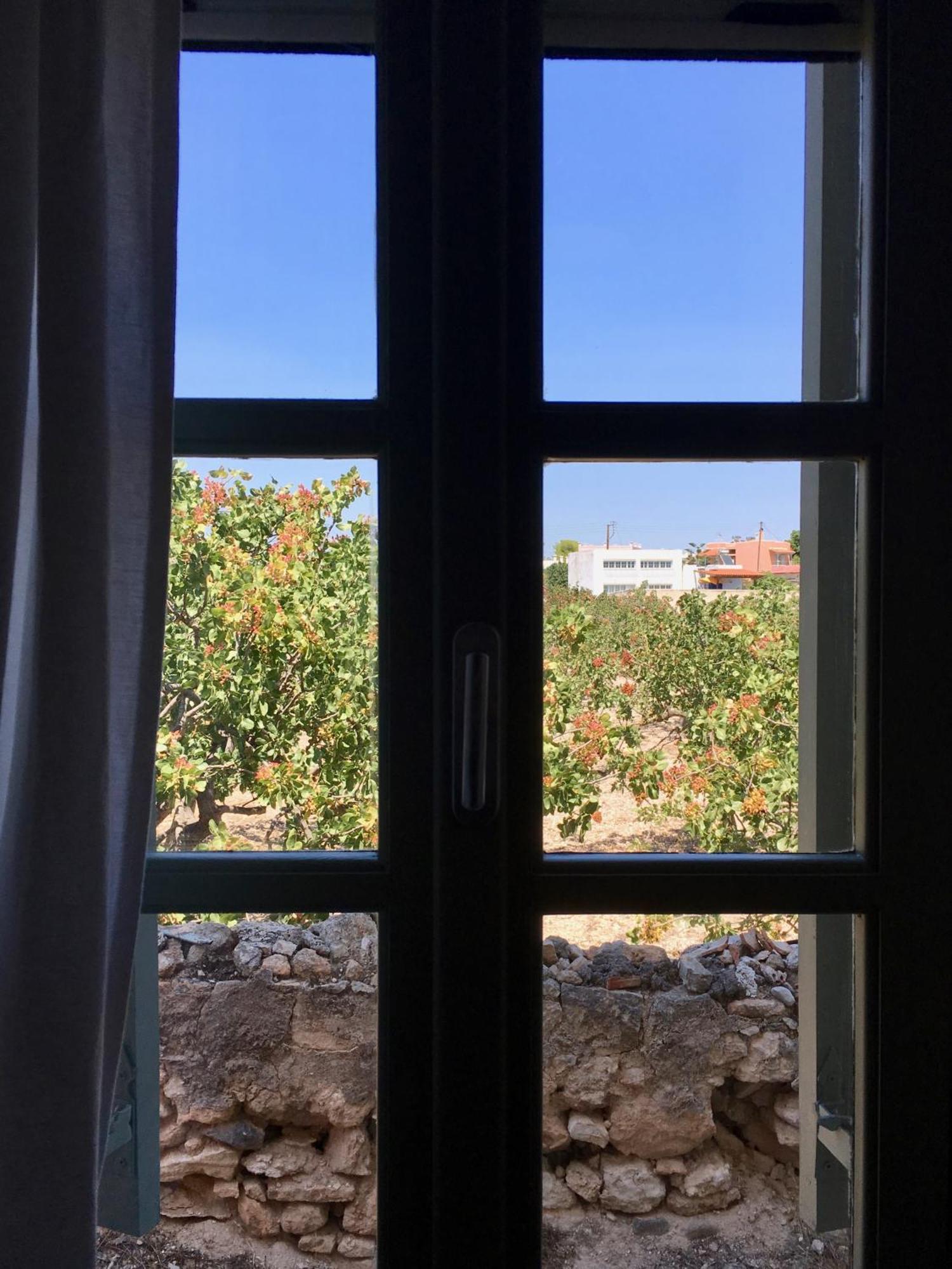 Town By Relax In Greece Aegina